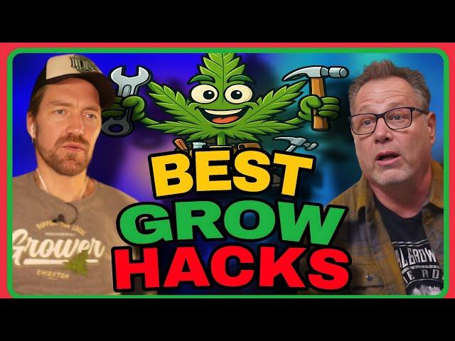 Quick Fixes, Big Results: Cannabis Grow Hacks That Work!