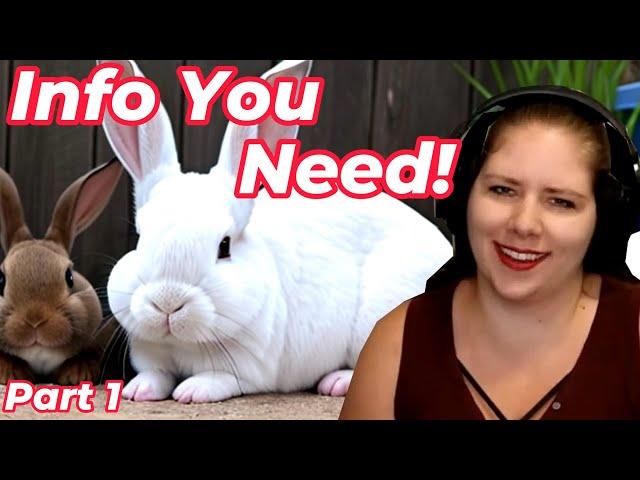 Critical Basics of Rabbit Care | A Veterinarian Explains Part 1