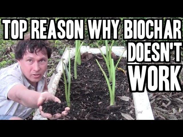 Top Reason Why Biochar Doesn't Increase Crop Yields & 5 Ways to Fix it