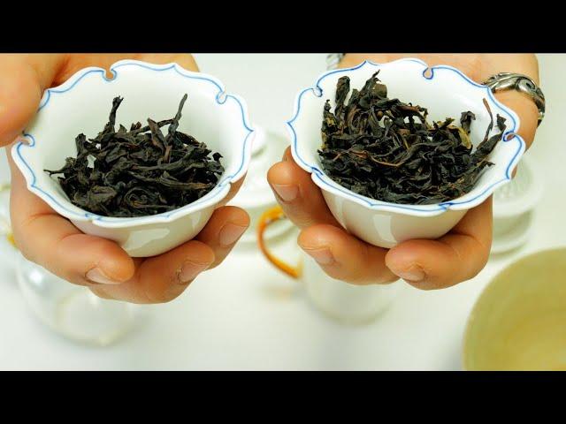 Wuyi Rock Tea vs Dan Cong Oolong  feat. Oolong tea comparison tasting