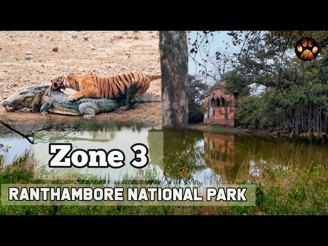 Ranthambore - Zone 3 Wildlife Documentary 2021 | The Fortress of Legendary Tigress Machali