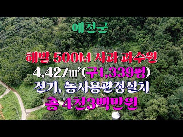 예천군 해발500M고지 저렴한 사과과수원-예천부동산