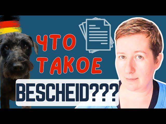 Что такое Bescheid и что не так с Джопцентром | Deutsch mit Marija по-русски