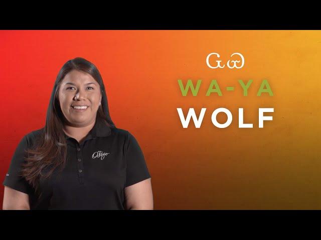 Cherokee Word of the Week: Wolf