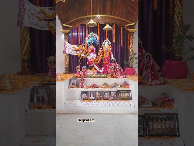Radha Raman ji darshan at Gurukul #shortvideo #school #gurukul