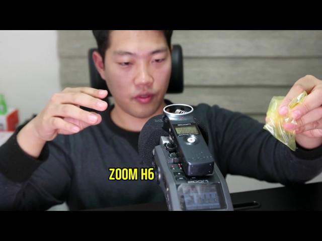 ZOOM H1 과 H6 마이크 음질 비교! (ASMR 마이크) (ZOOM H1 &H6 comparison)