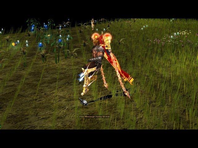 Custom Cape Animation 100% fix RF layer position - Muonline Season 6.3