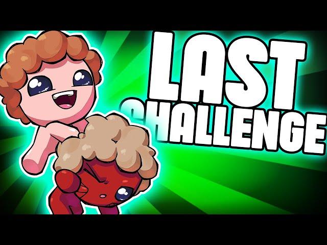 THE LAST CHALLENGE