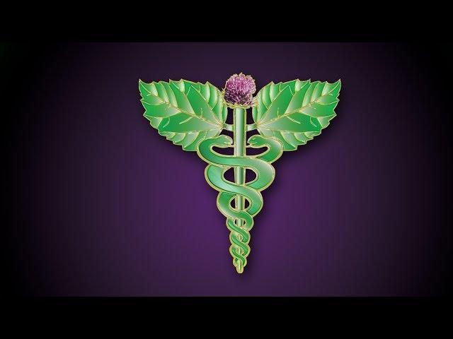 HEALTH MATTERS: Complementary and Alternative Medicine