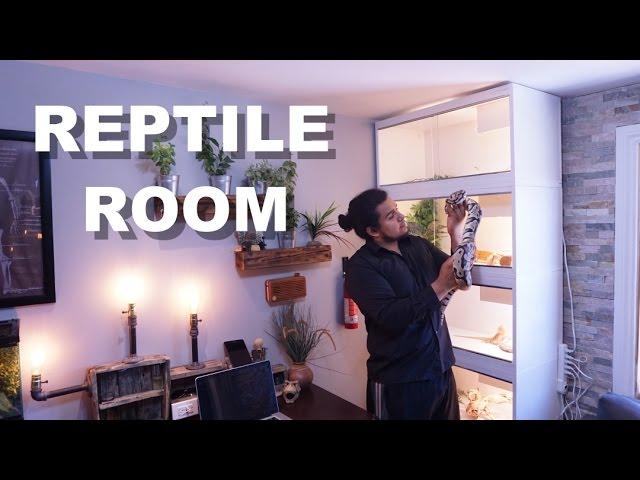 NEW REPTILE ROOM TOUR SPRING TIME 2017 !!!  ALL MY PETS !!