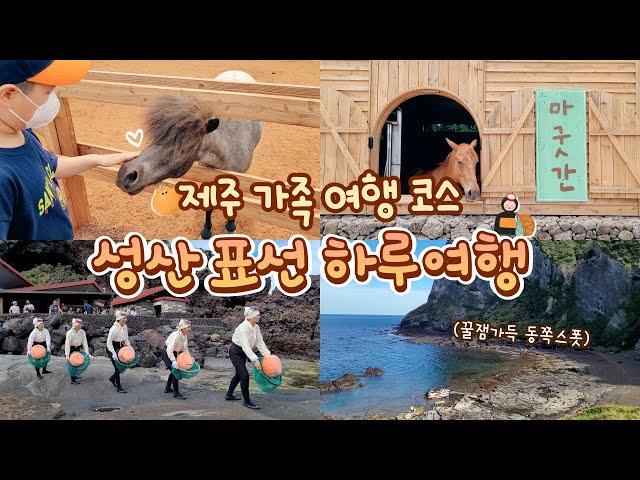 제주도 가족여행코스 아이들과 가볼만한 곳 | 제주 동쪽 성산표선 하루여행