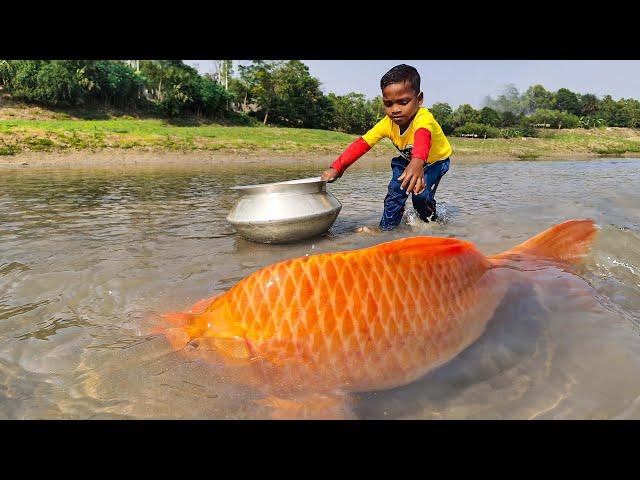 Amazing Big Fish Catching By Hand | Traditional Big Fish Catch By Hand in River Mud Water 2023