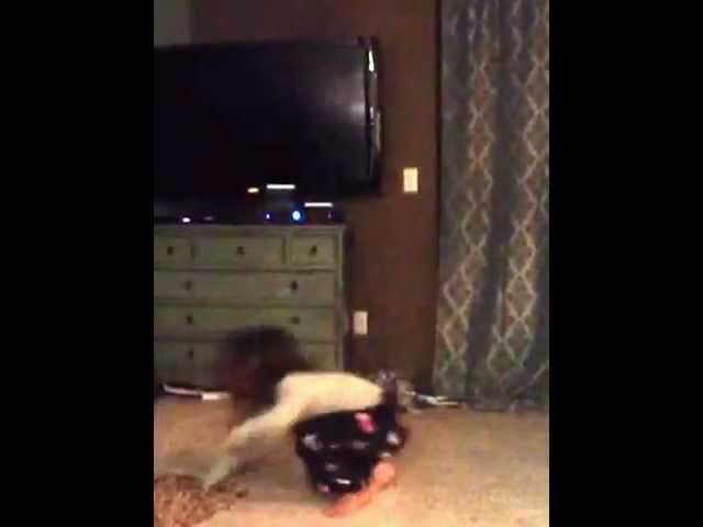 Lily bustin' a move!