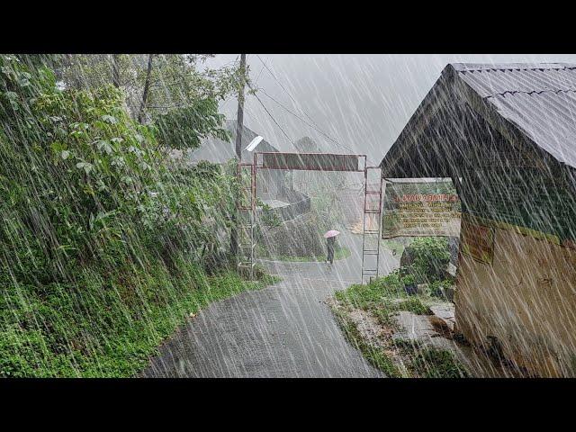 Walking in super extreme heavy rain accompanied by storm 3 hours, heavy rain in my village, to sleep