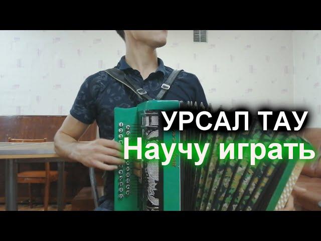 УРСАЛ ТАУ на гармони. Разбор песни.