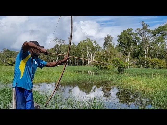 Traditional fishing uses arrows