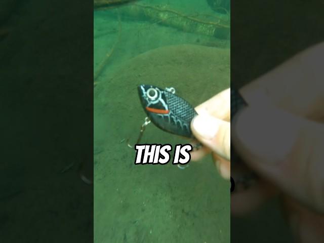 Look what I found underwater!