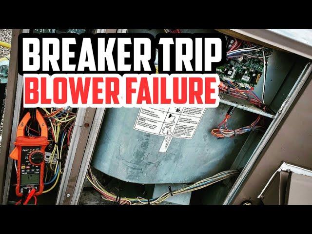 RTU Breaker Trip and Blower Motor Troubleshooting with the RedFish Multimeter