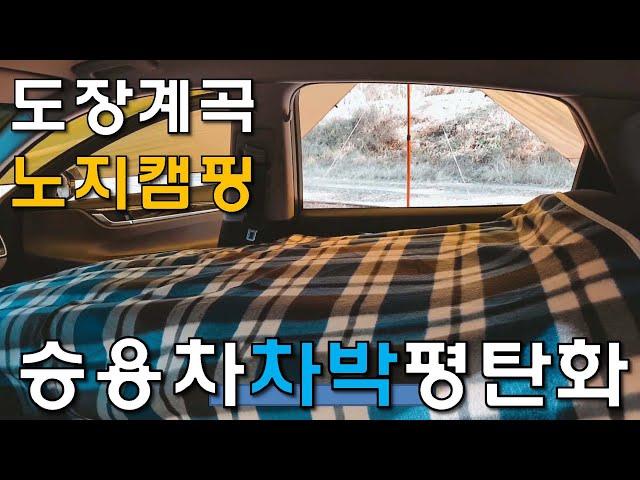 도장계곡 노지캠핑/ 승용차 평탄화로 차박모드 꾸미기/ 승용차 타프어닝피칭 & 조수석평탄화/ Solo Camping