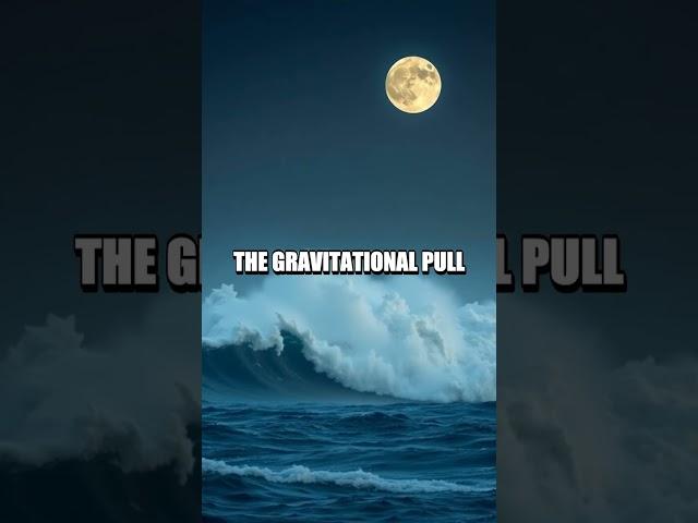 The Hidden Blueprint of Tidal Waves