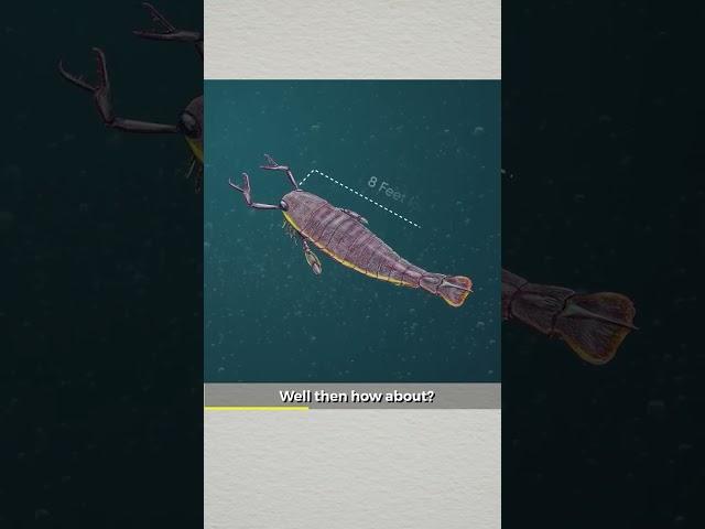 Insane Abilities of EXTINCT Animals You Won't Believe Existed