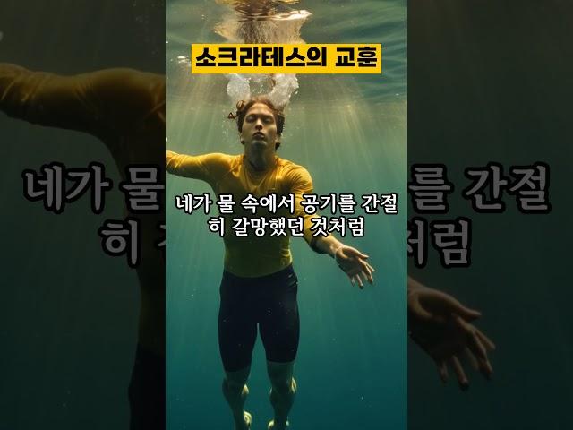 테스형의 참교육 #명언모음 #사는이야기 #지식 #처세술 #좋은글 #명언