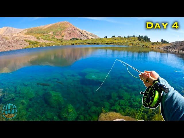 Fly Fishing the BEST LAKE IN THE WORLD?? (Big Trout Everywhere)