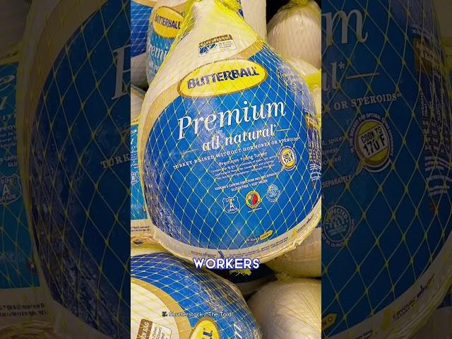 PETA accuse Butterball of sexually abusing TURKEYS