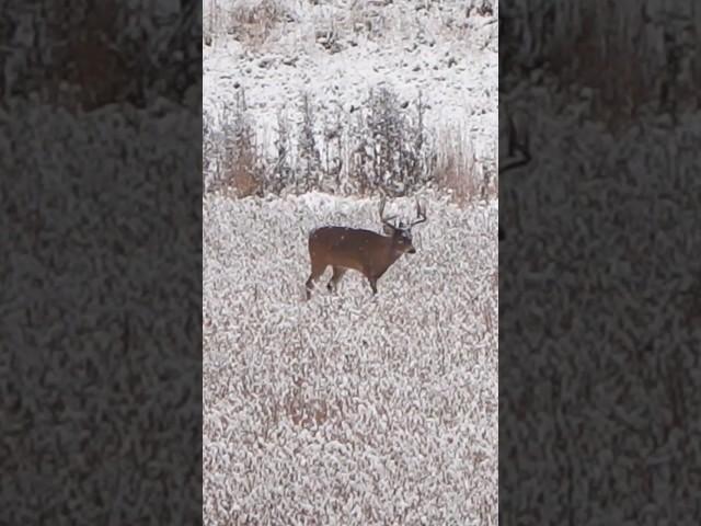WHITETAILS with RETIRED NBA PLAYER