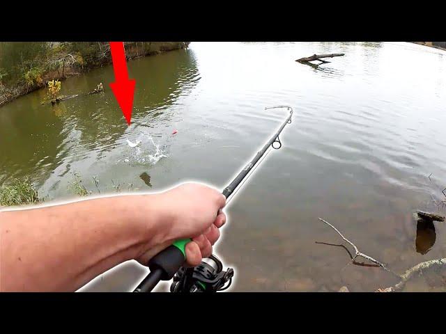 Finally!! It Feels Good to Go Fishing Again (Realistic Fishing)