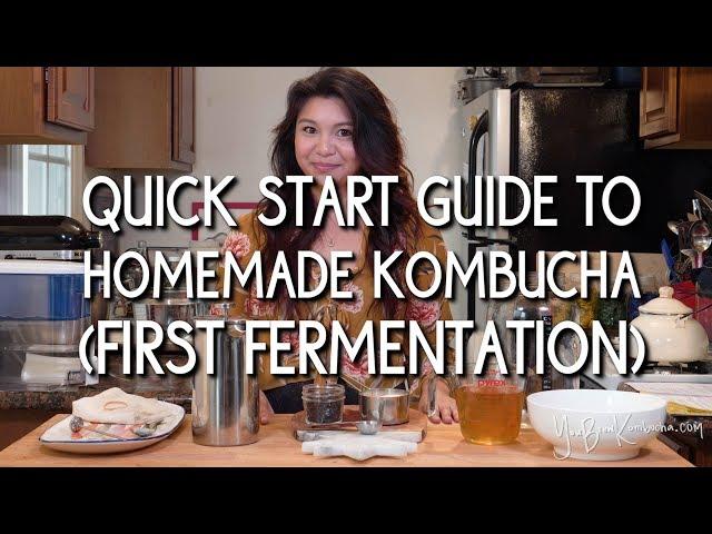 Quick Start Guide to Homemade Kombucha (First Fermentation)