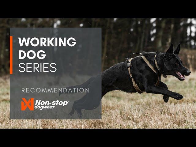 The Working dog series - tested and approved by professionals!