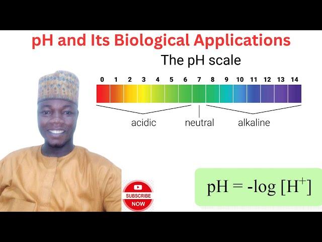 pH and Its Biological Importance