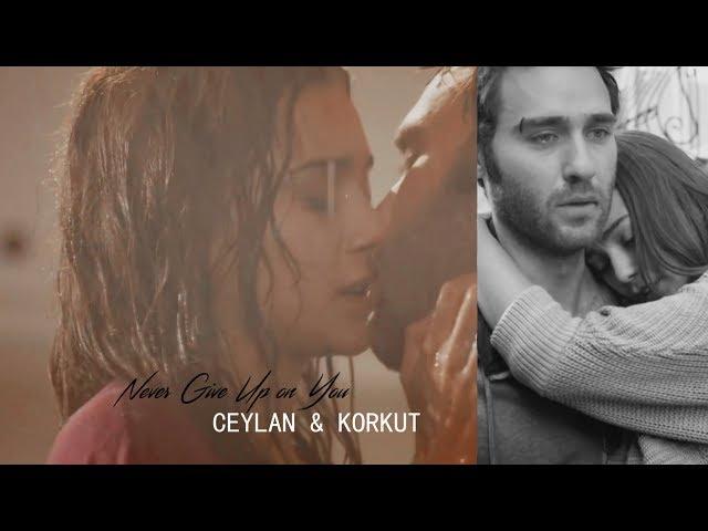 korkut & ceylan - never give up on you