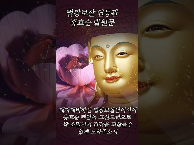 법광보살 연등관 홍효순 발원문 #명상 #인생조언 #용화미륵부처님