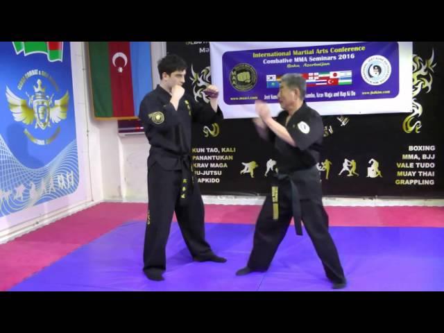Jeet Kune Do Kim's Method: Straight Punch & Its Applications
