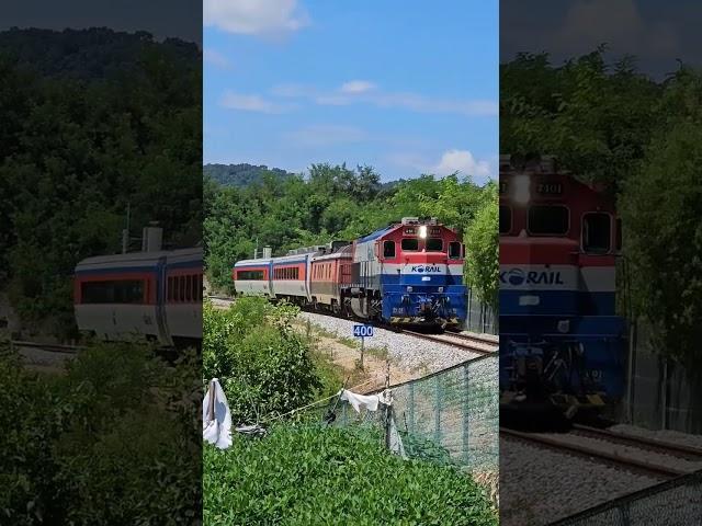 곡선철길도 부드럽께 #무궁화호 #train #디젤기관차