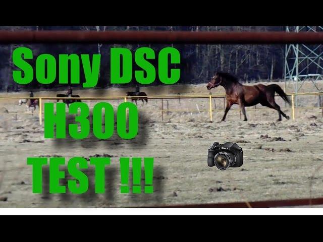 SONY DSC H300 Review - Video Test , Zoom Test + Images