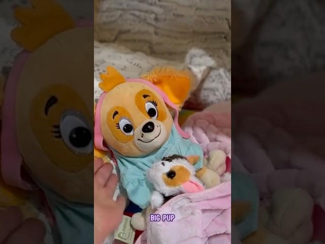 Paw Patrol Playtime- Baby Skye Learns to go to bed by Herself!