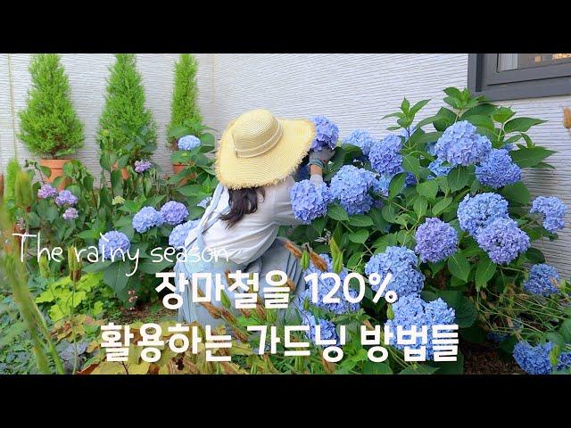 How to do gardening using 120% rainy season