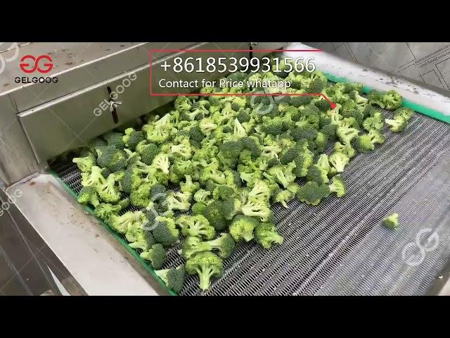 IQF Freezing Machine For Broccoli