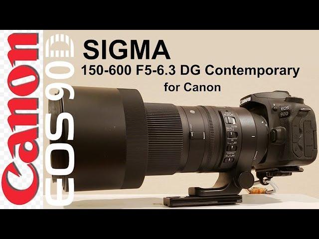 Sigma 150-600 F5-6.3 Contemporary for my Canon 90D. Photos, settings, reasons I'm switching.