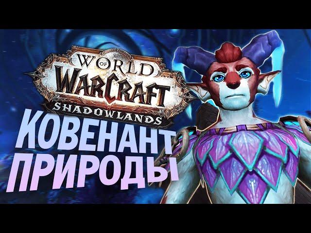 АРДЕНВЕЛЬД - ПЕРВЫЙ ВЗГЛЯД / World of Warcraft