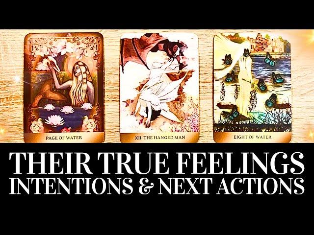 PICK A CARD Their TRUE CURRENT FEELINGS & INTENTIONS Towards YOU!  Psychic Love Tarot Reading