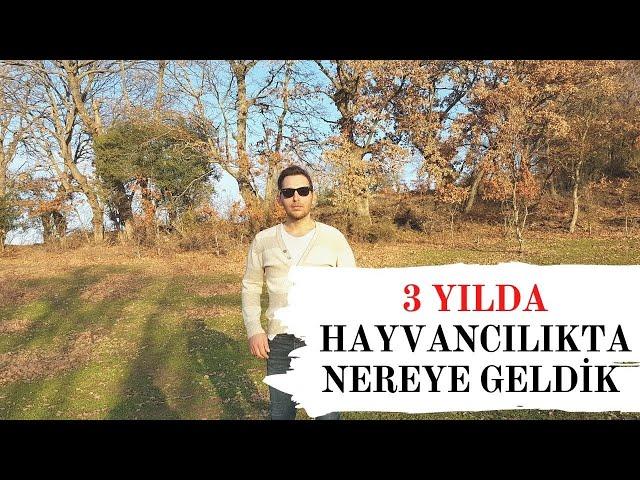 3 YILDA HAYVANCILIKTA NEREYE GELDİK ??