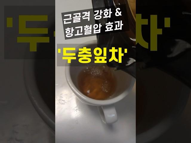 두충잎차: 근골격강화 & 항고혈압 효과