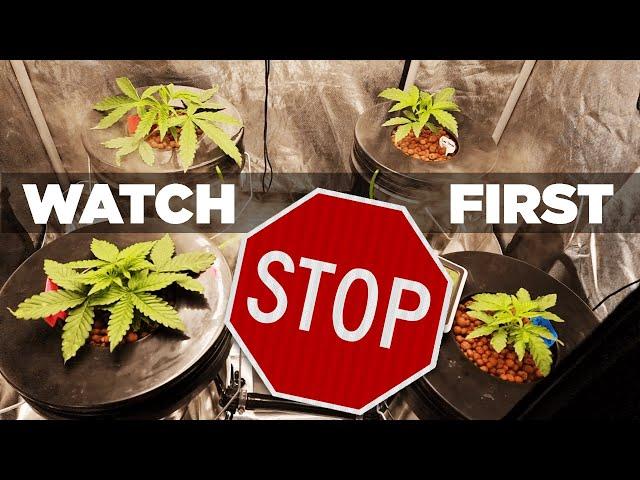 HUGE MISTAKE trying Hydroponic RDWC. Money Pit – TOP 10 Reasons NOT to Hydro