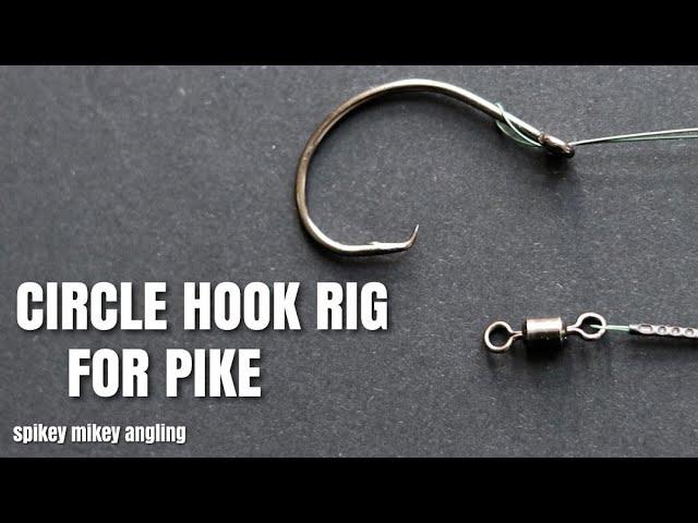 Circle Hook Rig for Pike