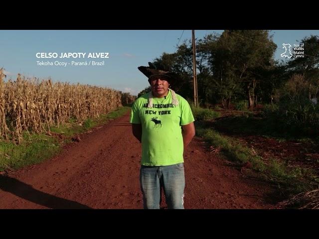 Soy and the Guarani education workshop video - English