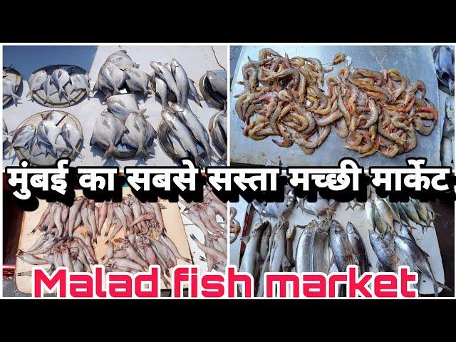  मुंबई का सबसे सस्ता मच्छी मार्केट Malad Fish Market Price & Quality Update 2024 #fish #fishmarket